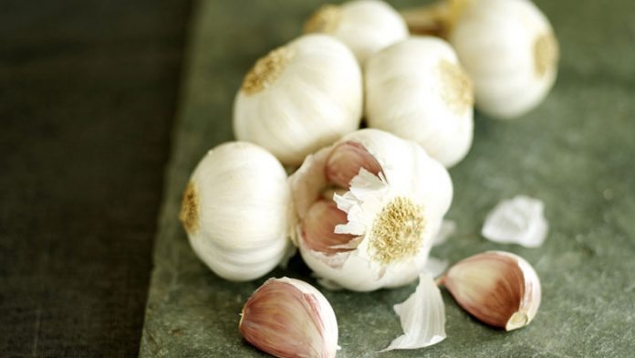 Garlic Weight Loss