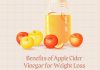 Benefits of Apple Cider Vinegar for Weight Loss: Nutrition Benefits Apple Cider Vinegar Weight Loss