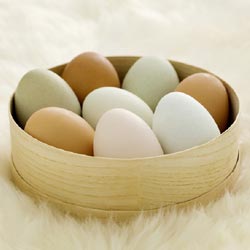 Egg Hair Growth Regrowth