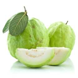 Guava Hair Loss