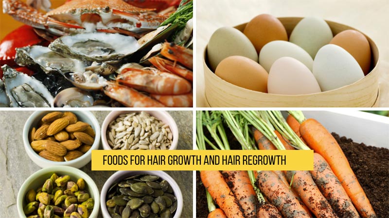 Best 15 Foods for Hair Growth and Hair Regrowth: Kolors