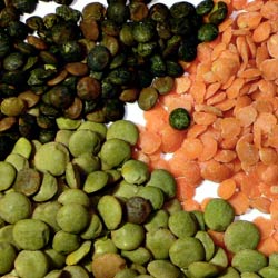 Lentils Hair Loss Food