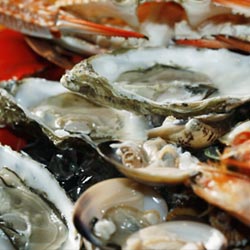 Oysters Hair Growth Regrowth