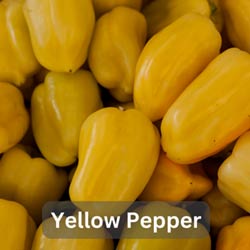 Yellow Pepper Hair Regrowth