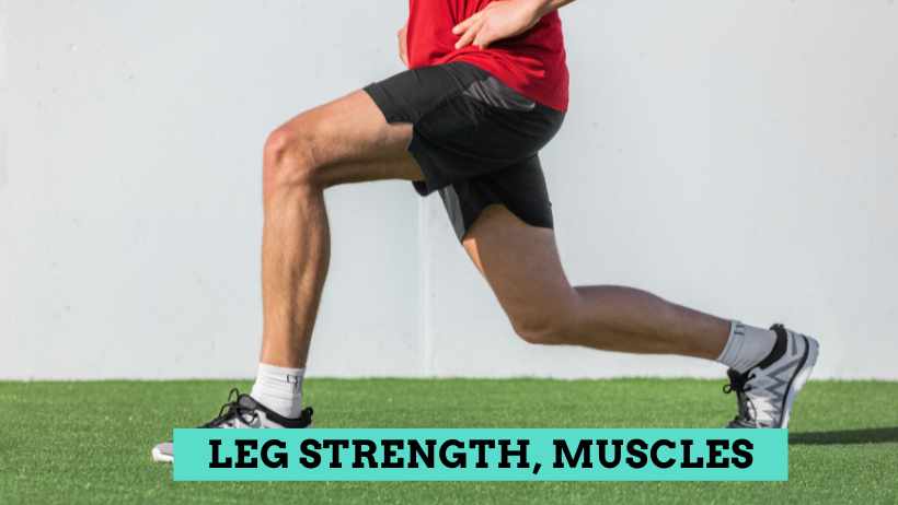Leg Strength Muscle Tone