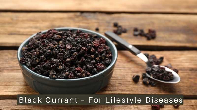 Black Currant For Lifestyle Diseases