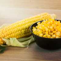 Maize - Corn