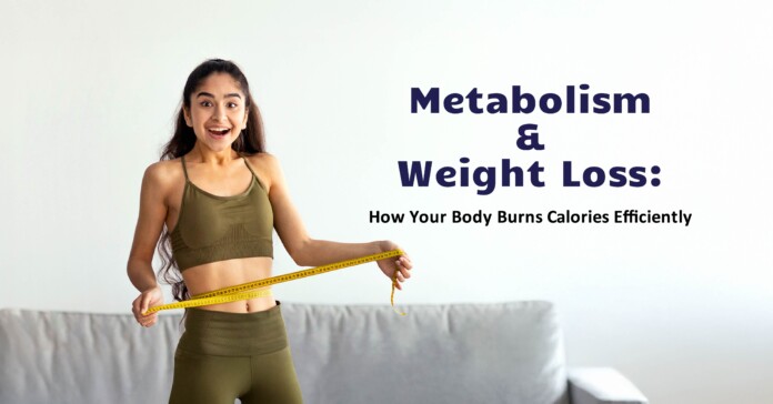 Metabolism and Weight Loss: How Your Body Burns Calories Efficiently